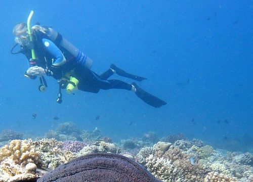 PADI Open Water Diver Kurs von Soma Bay