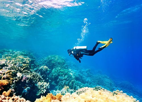 PADI Open Water Diver Kurs in Hurghada