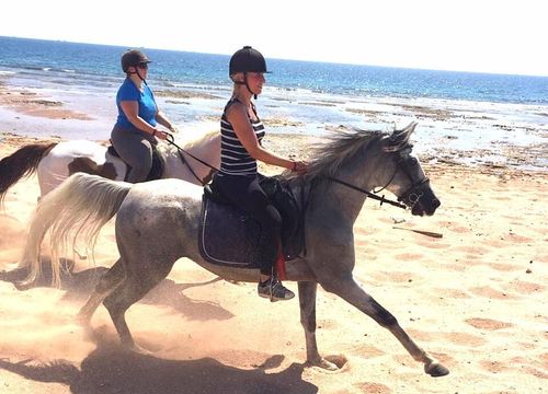 Pferde Reiten: Privater Reitausflug ab Hurghada 