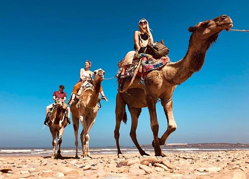 Kamelreiten von Soma Bay: Privater Ausritt in der Wüste & am Meer