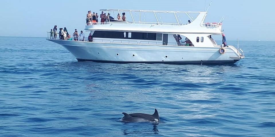 private boat tour hurghada