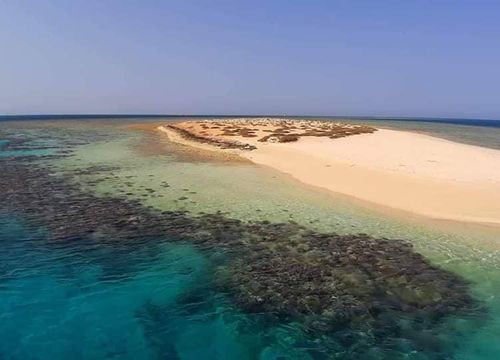 Schnorchelausflug zu den Qulaan Inseln von Marsa Alam aus