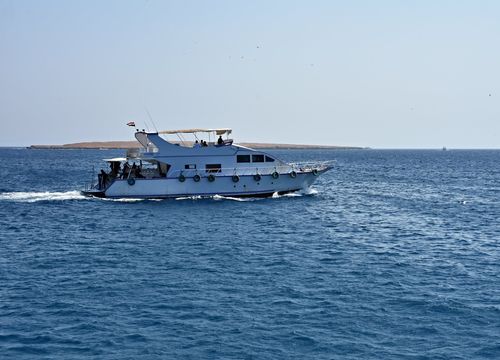 Private Bootstour zum Schnorcheln und Schwimmen mit Delfinen von Soma Bay