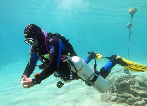 Tauchen Soma Bay: Tauchpakete und Tauchausflüge