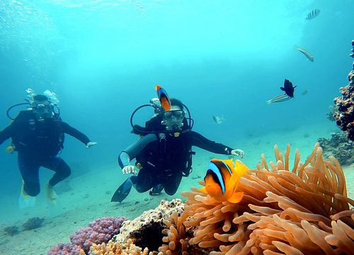 PADI Open Water Diver Kurs in Marsa Alam 