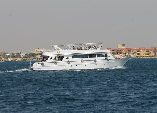 Private Bootstour zum Schnorcheln und Schwimmen mit Delfinen von Safaga