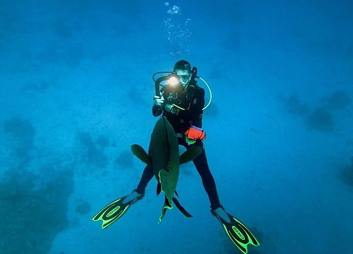 PADI Open Water Diver Kurs von Sahl Hasheesh