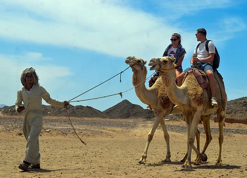 Kamelreiten in Hurghada: Privater Ausritt in der Wüste & am Meer
