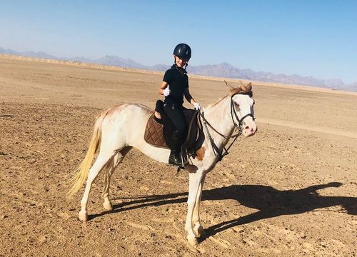 Private Reitausflüge von El Gouna: Reiten am Strand und in der Wüste