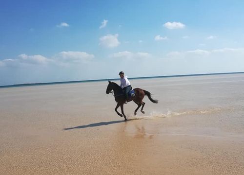 Reiten in Hurghada: Privater Ausritt in der Wüste und am Meer