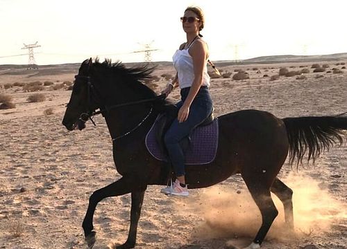 Reiten von El Gouna: Private Ausritte für Anfänger & Fortgeschrittene