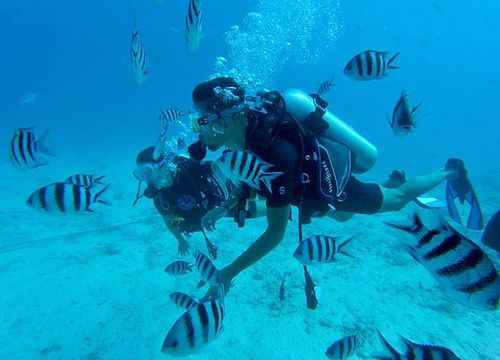 PADI Open Water Diver Kurs von Safaga