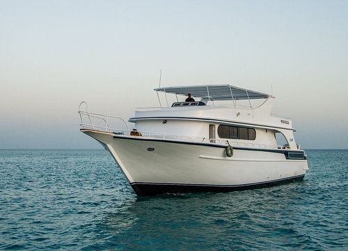 VIP Bootstour ab Hurghada: Privater Inselausflug mit Schnorcheln inkl. Mittagessen