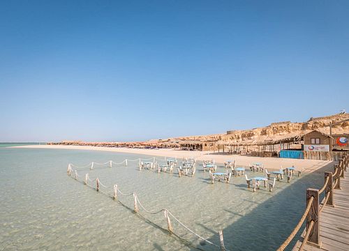 Schnorchelausflug zur Orange Bay Insel von Sahl Hasheesh aus