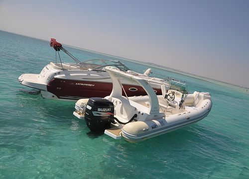 Speedboot Marsa Alam: Privater Ausflug zum Schnorcheln & Schwimmen mit Delfinen