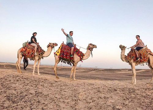 Kamelreiten von Safaga: Privater Ausritt in der Wüste & am Meer
